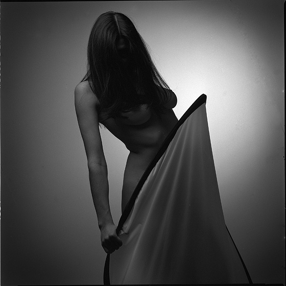 light_d 66