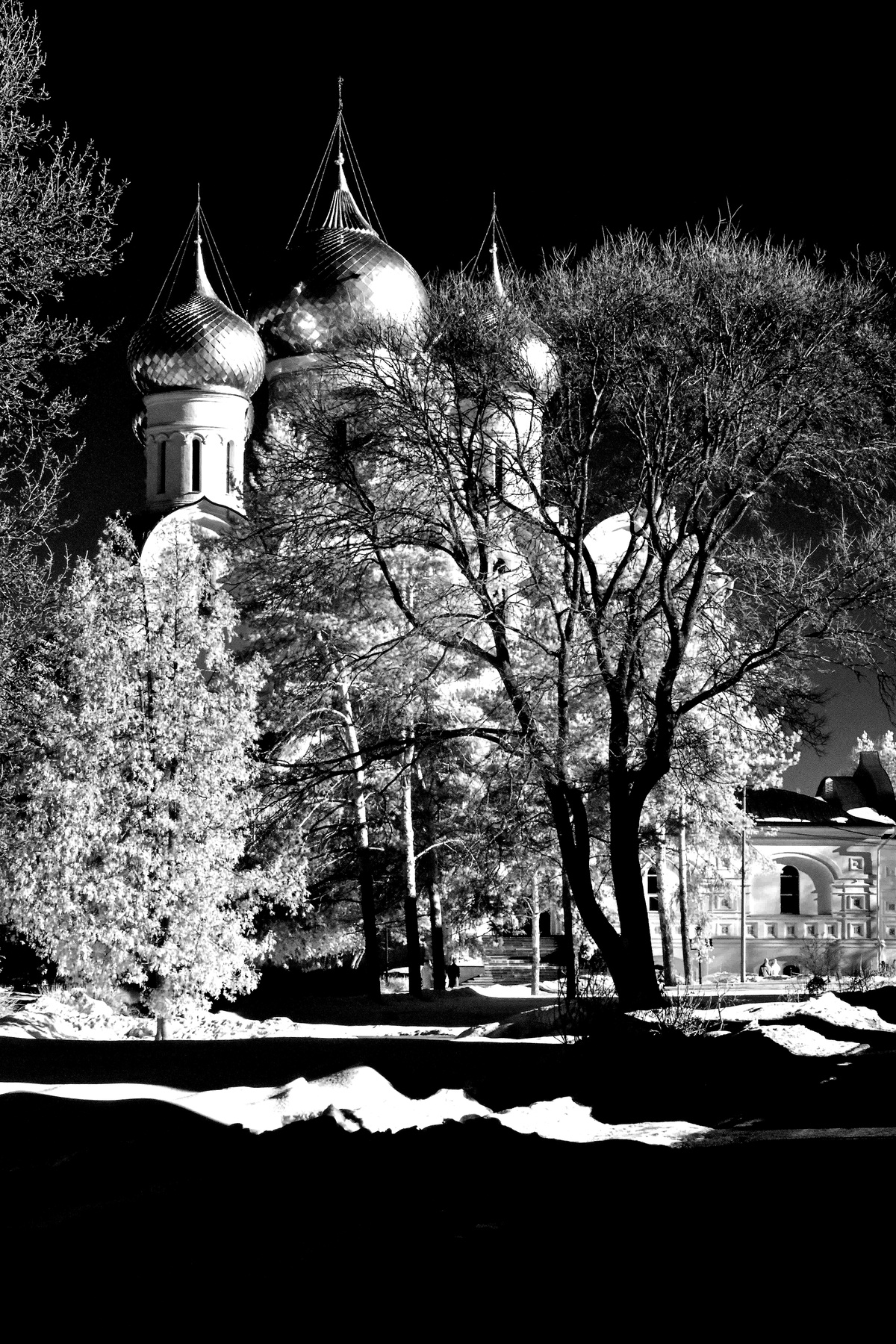 .Март.Полдень. Ярославль.Ярославская губерния.Р.Ф.2024г.г. от Р.Х. Инфракрасная,чёрно-белая,монохромная, фотография. (infrared imaging) Инфракрасная чёрно-белая монохромная фотография infrared imaging