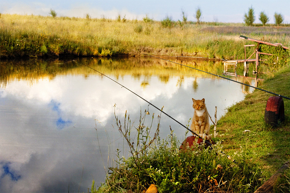 *Кузя Кот ,рыбалка