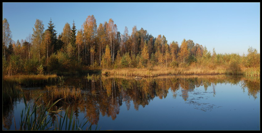 Осенняя 
