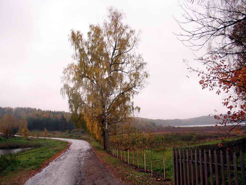 унылая пора... дорога осень дождь