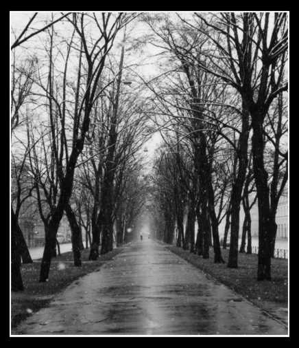 road to... 
