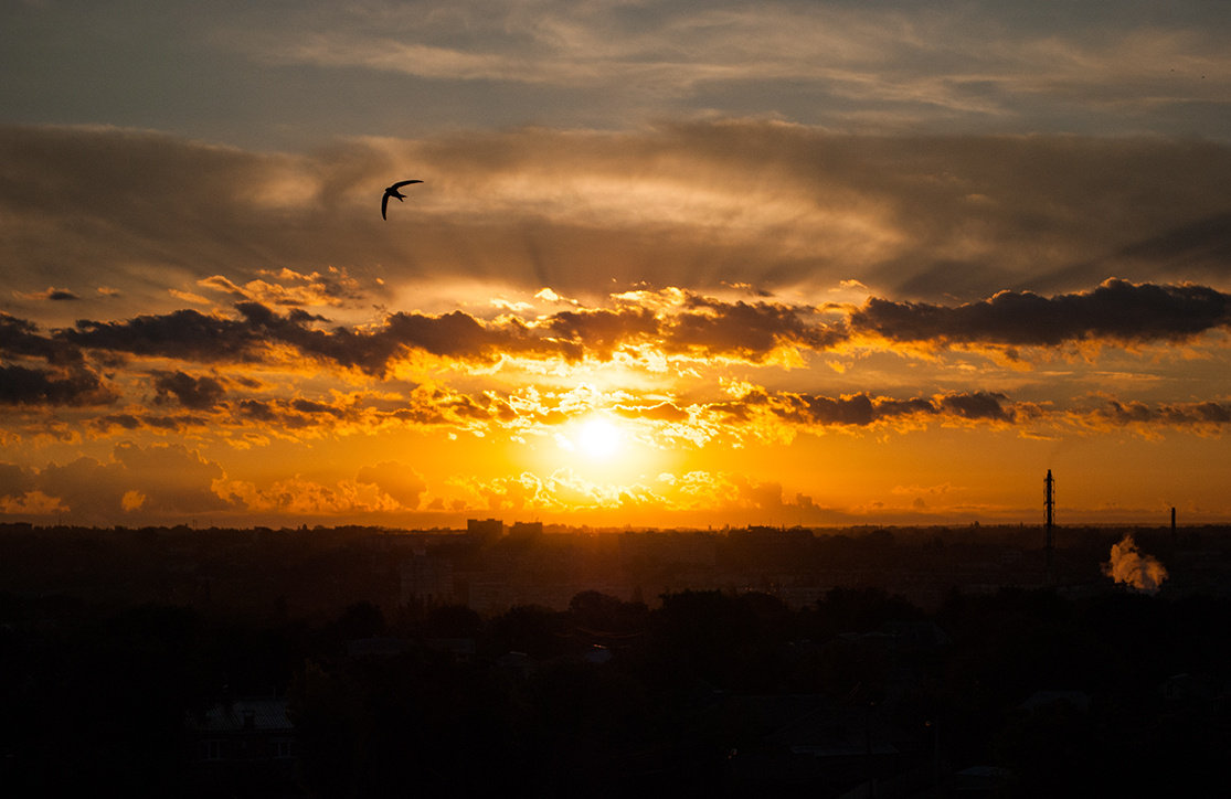 Sunrise 
