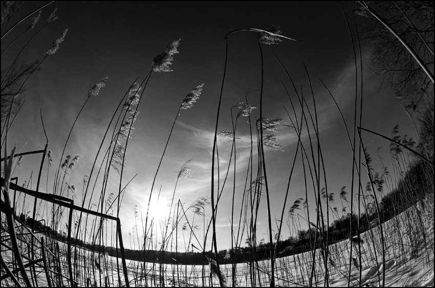 Mild winter Lithuania, Winter, Lentvaris, Lake