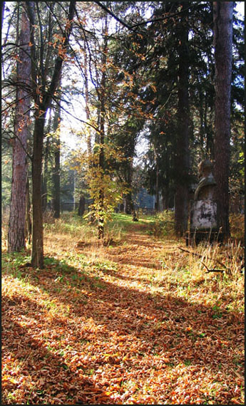 ПРОсвет солнце, аллея, осень