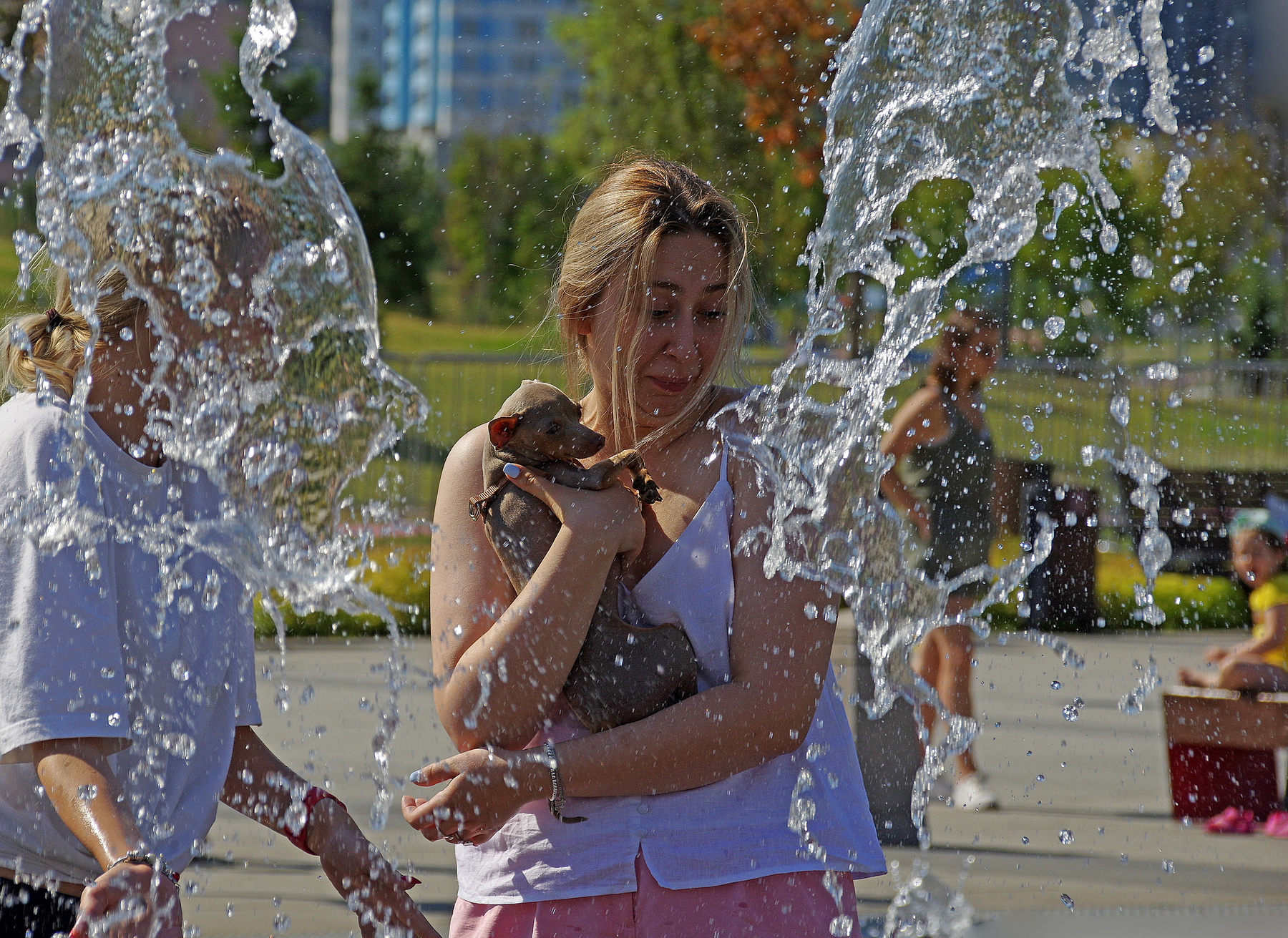 В струях фонтана 