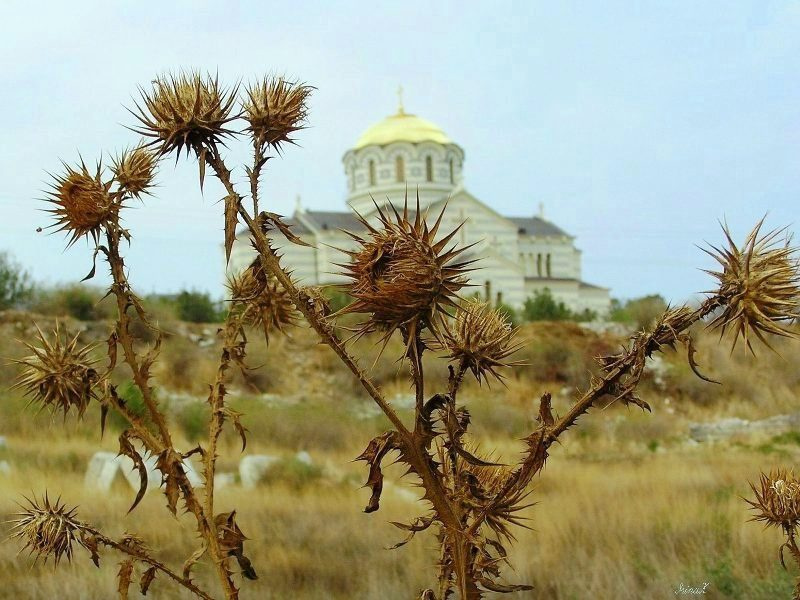 Воинствующий атеизм колючка собор