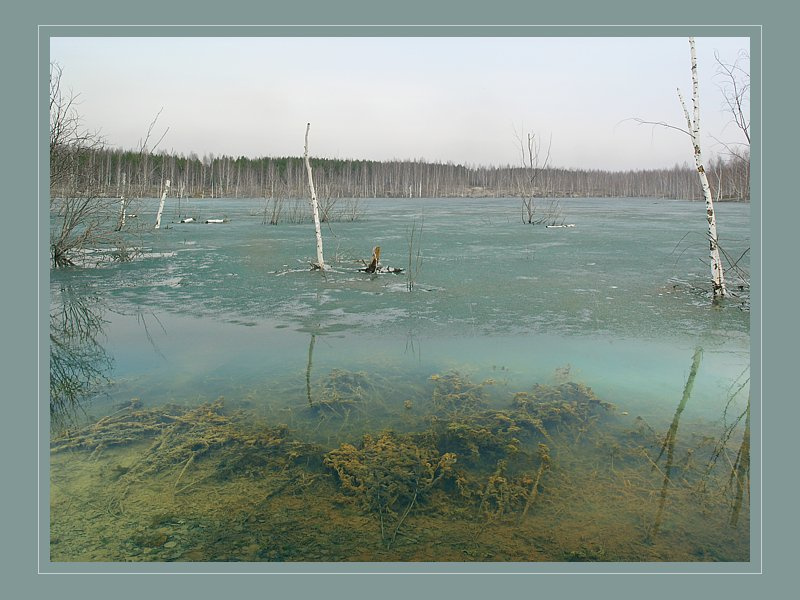 Мир подводный и надводный свой... полярик апрель лед