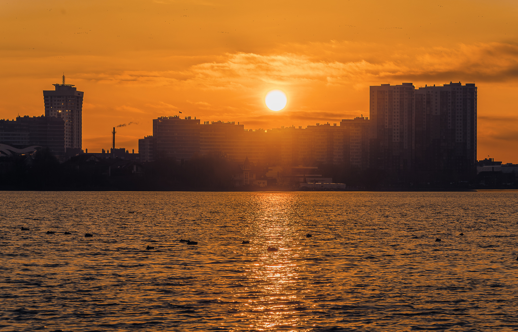 Закат над городом птицы город вода вечер берег