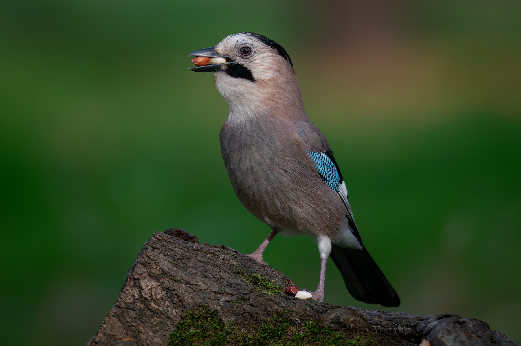 С арахисом 