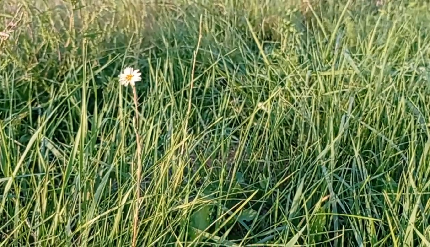 Взгляд 