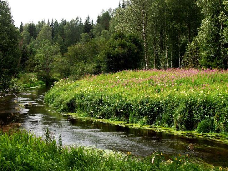 у реки 