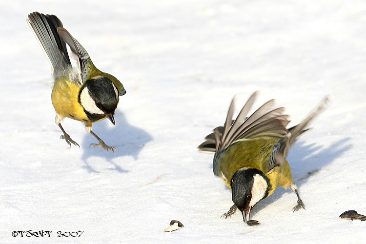 BREAKDANCE 