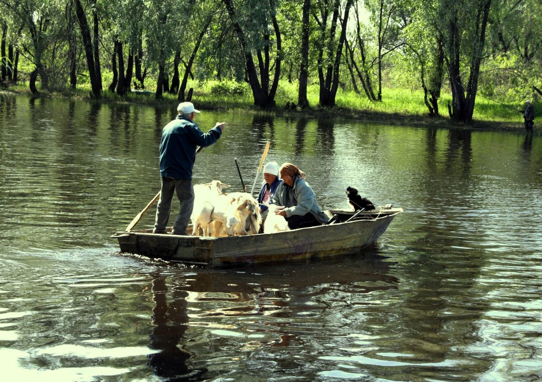 вся семья в сборе) лодка, компания, весело, пастбище