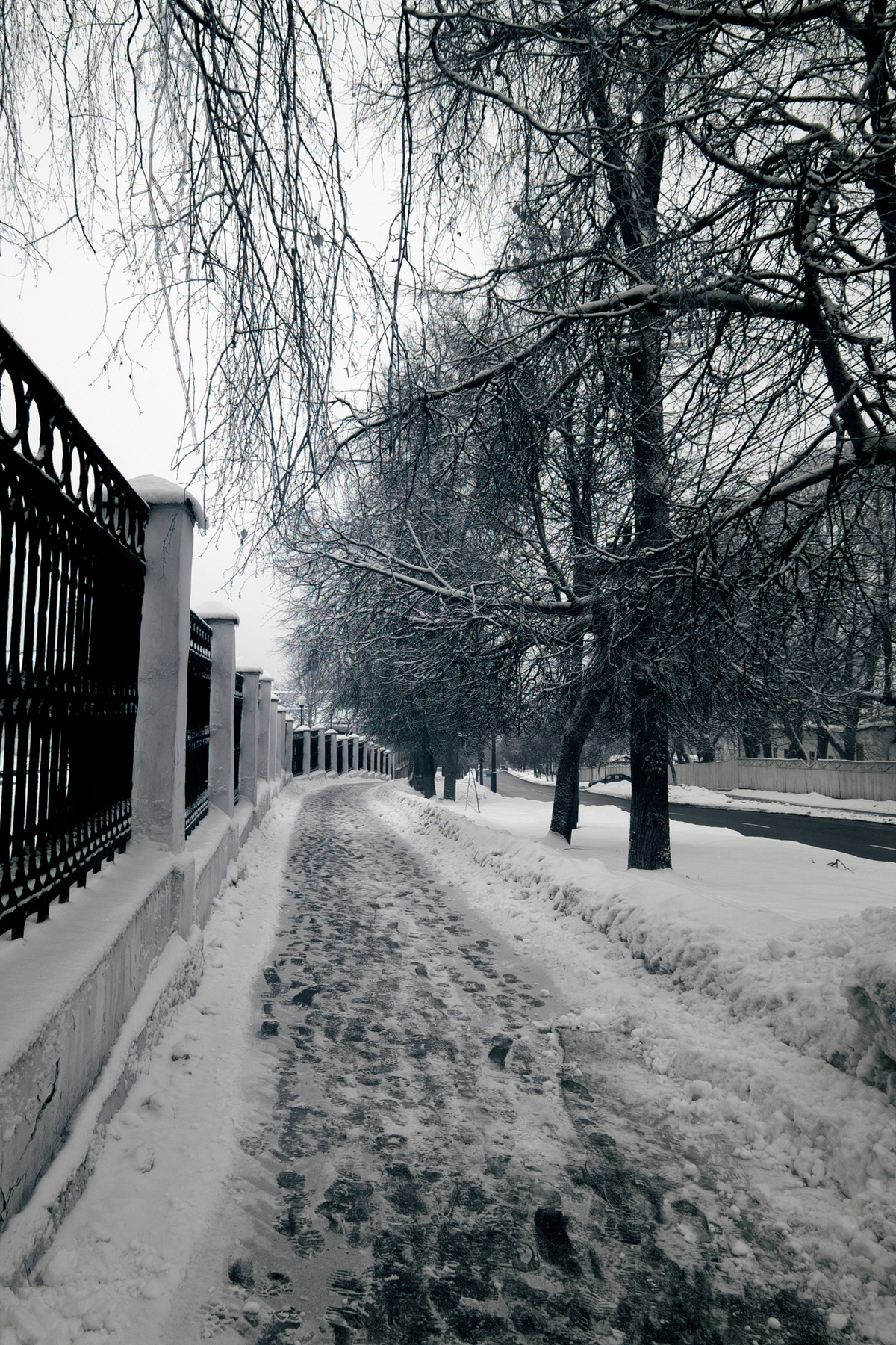 DSC04485 копия_6 копия_7 копия_Photographic копия2 