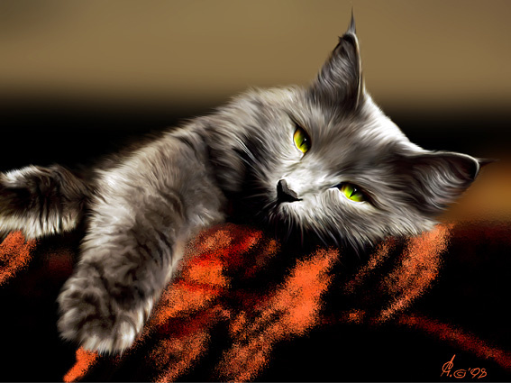 Кошка Лиза Кошка Лиза животные