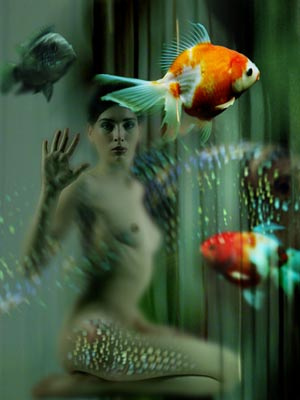 Aquarium аквариум рыбки русалка