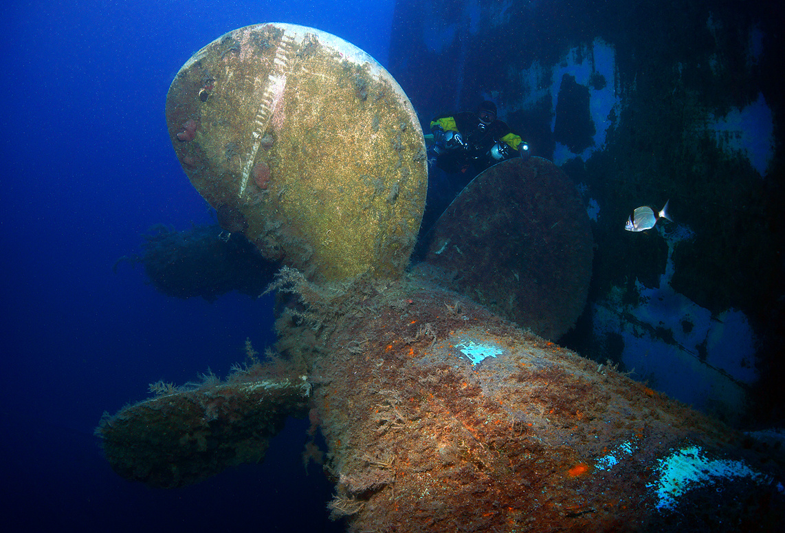 "Zenobia" 