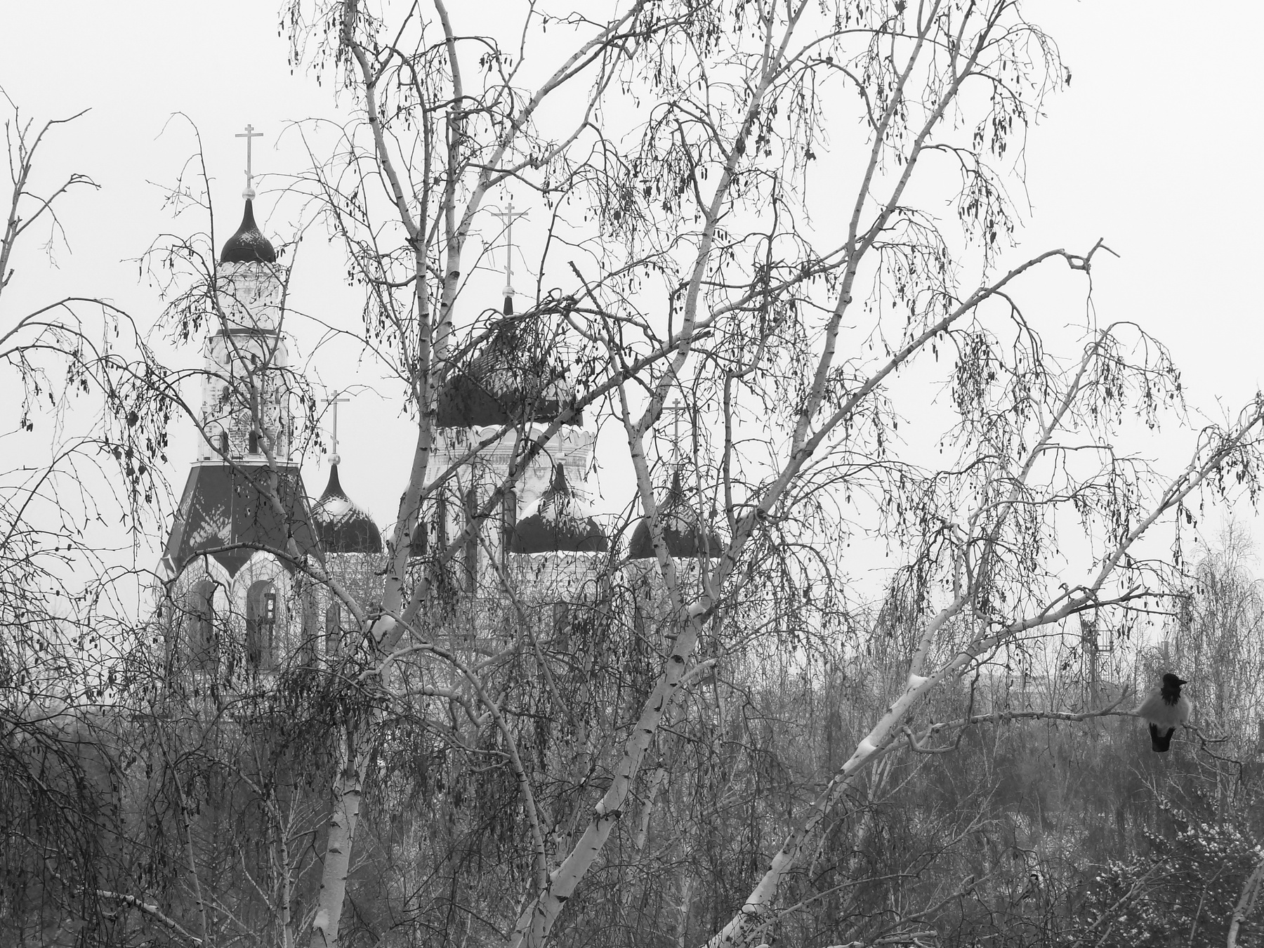 Грачи улетели 