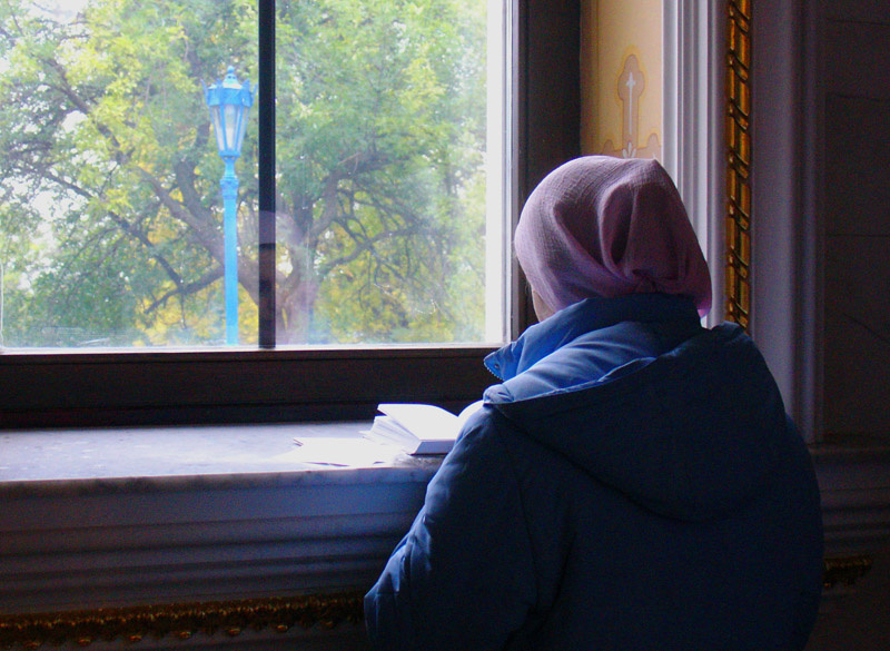 Когда хочется тишины. . .  окно, фонарь, дерево, девушка, книга. . .