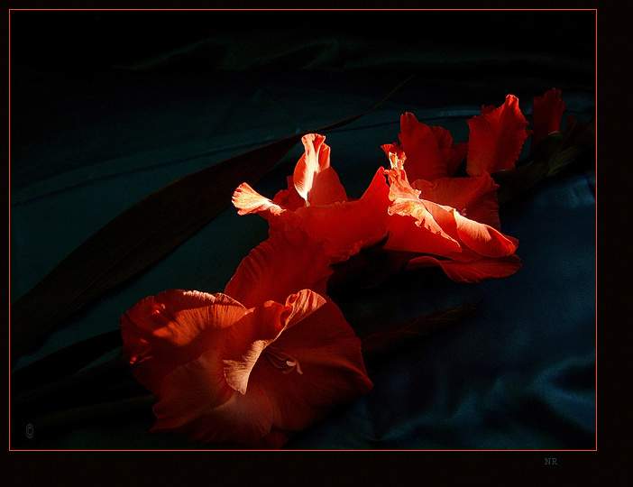 об огне RED