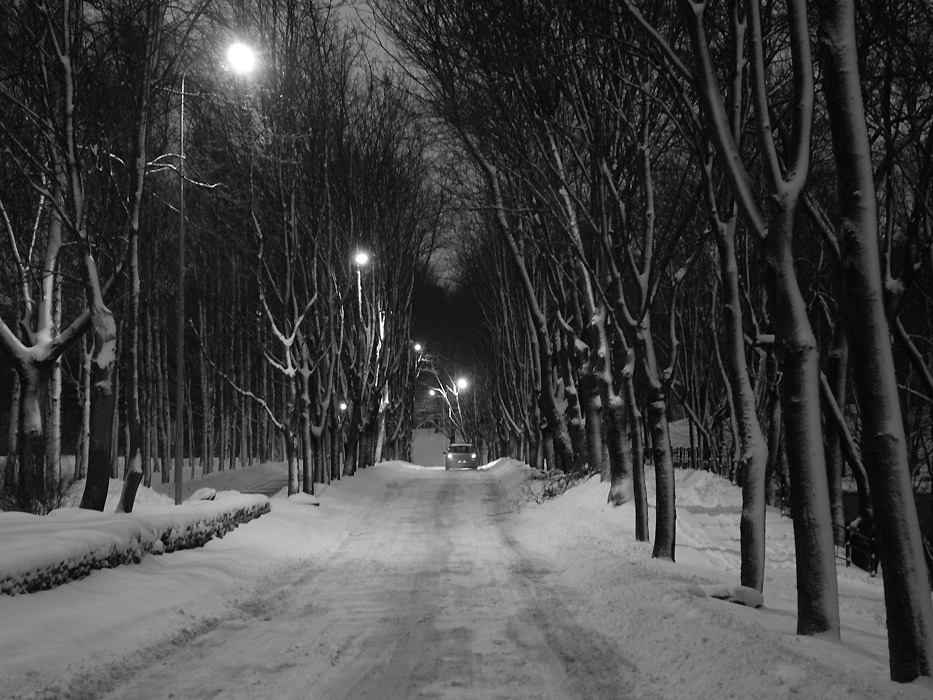 FEBRUARY(Город каждый день) 