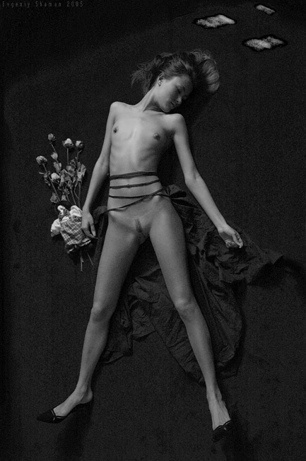 dream of dollsmaker 