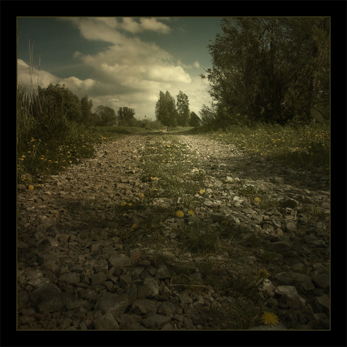 road to dream 