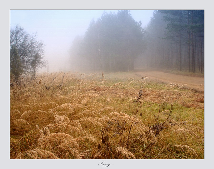 Foggy... 