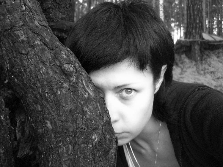 pine wood 