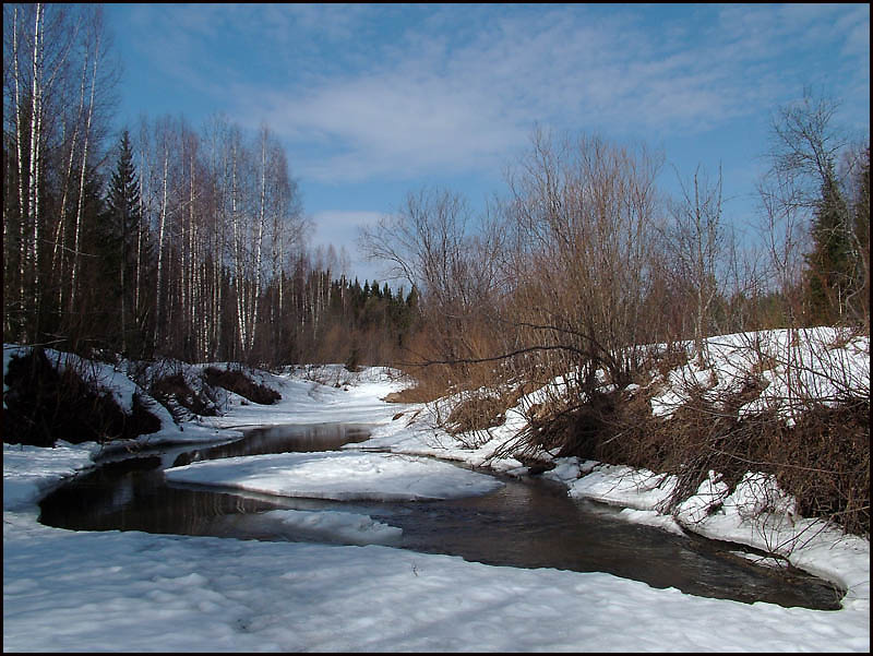 Талая весна Весна,полдень,р.Човью