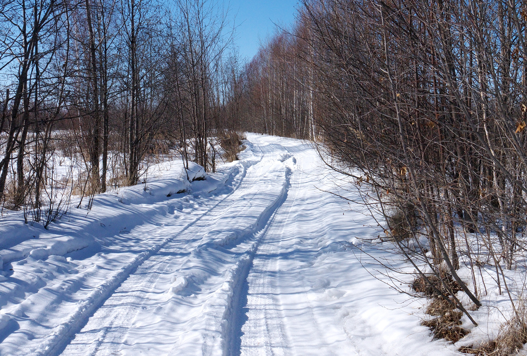 дорога дорога, весна,