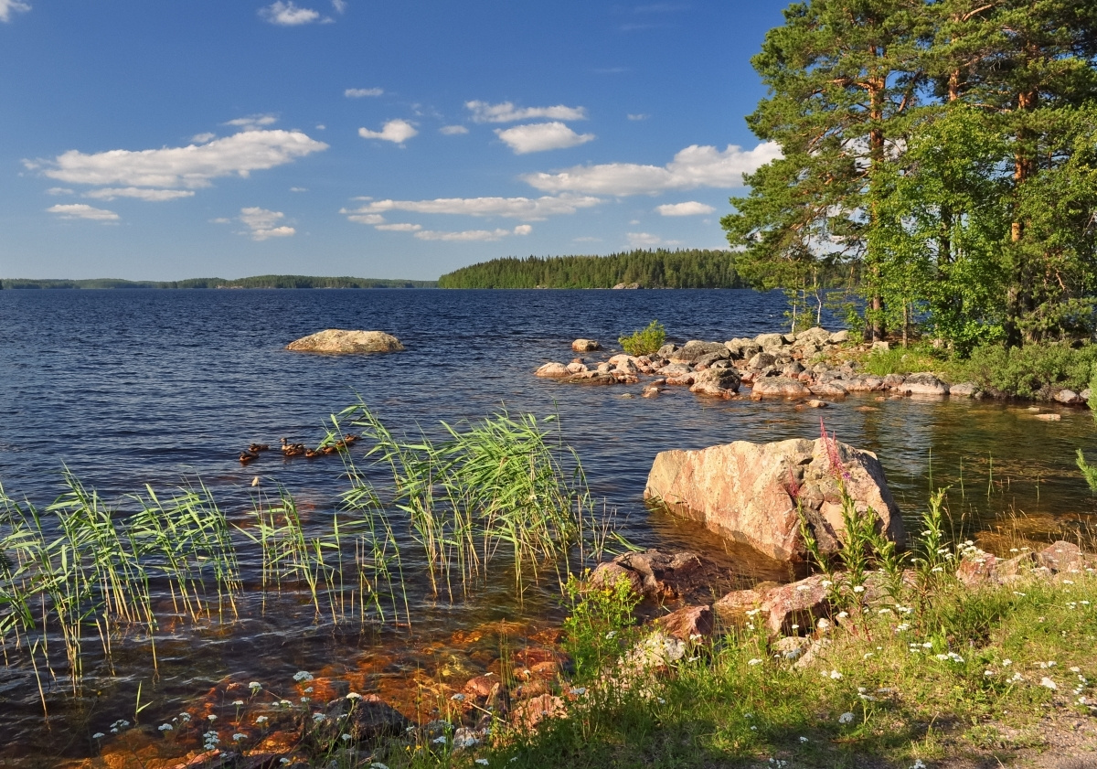 Каменистое побережье -2 лето Сайма Финский_Озерный_край Иматра summer Saimaa Lake_District Imatra Finland