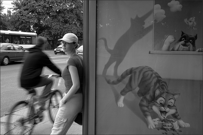 [kitekat] Sopot