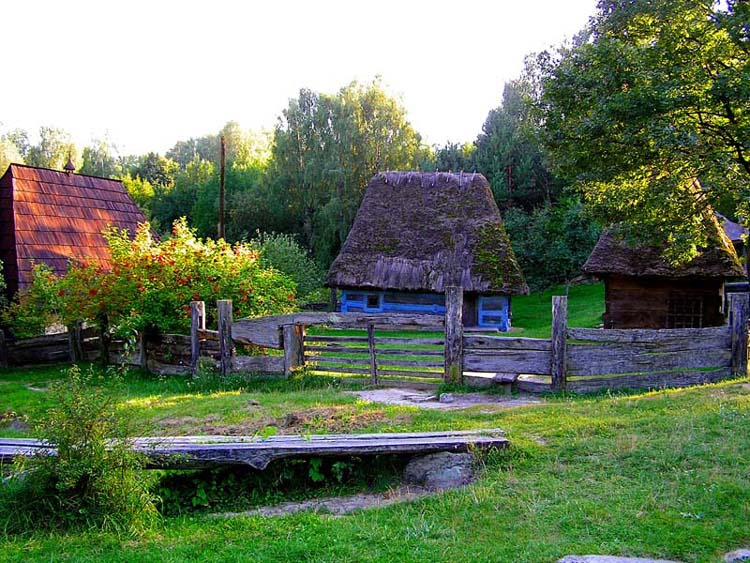 В Пирогово (Киев) 