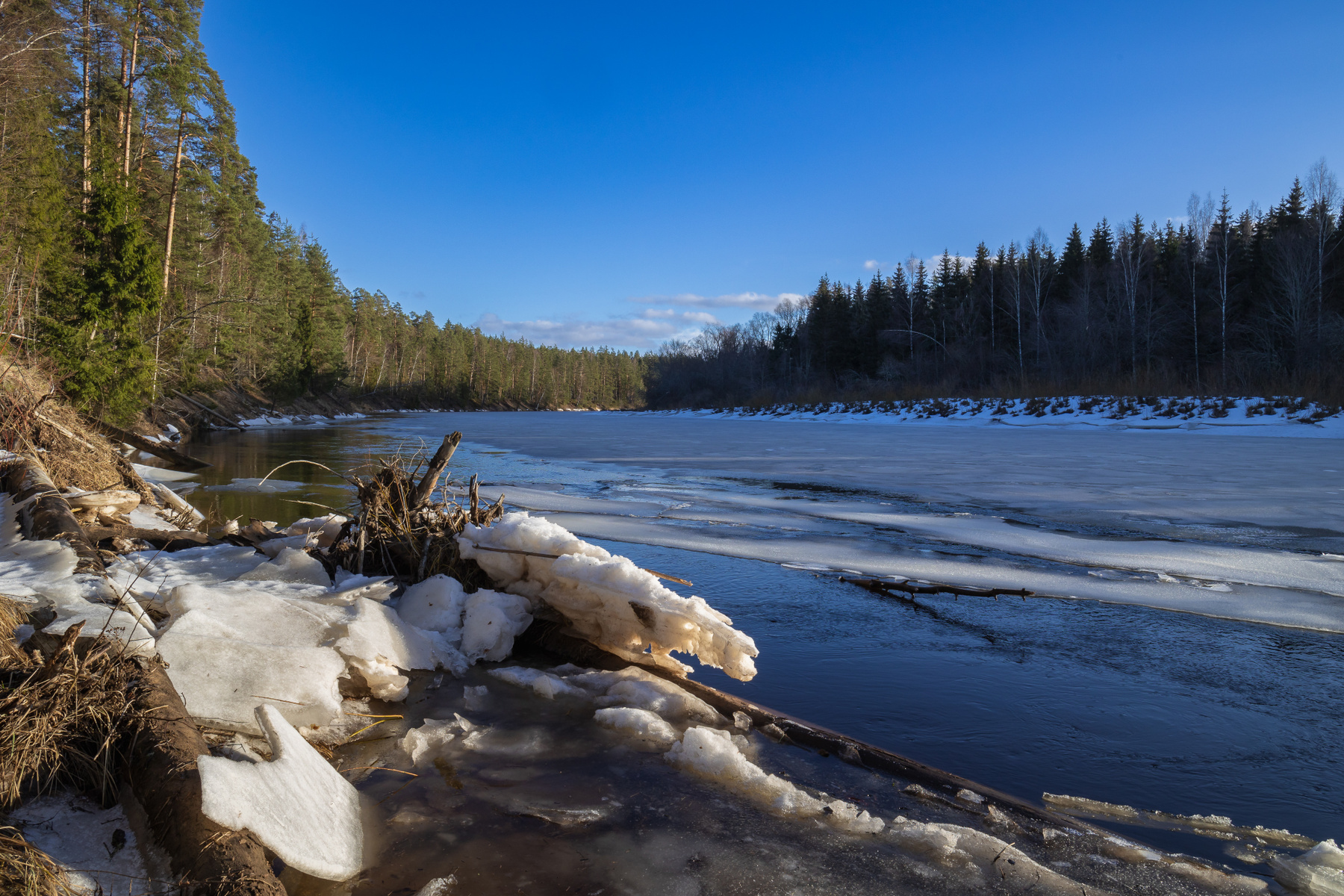 Gauja 