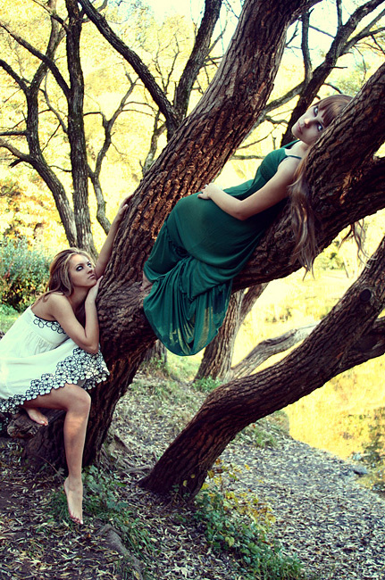the Wood Nymphs. 