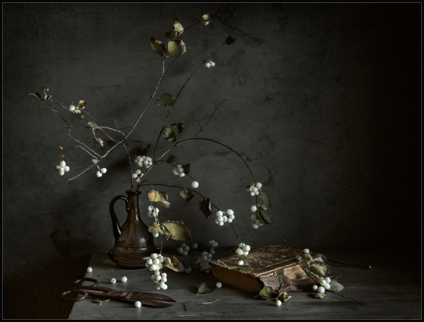 Symphoricarpos albus 