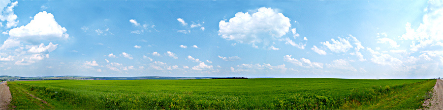 Панорама a-la Windows XP панорама зеленое поле