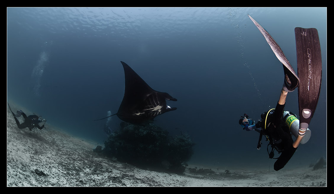  Амазонки и Манта Raja Ampat