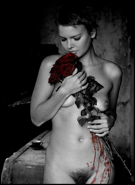 Where The Wild Roses Grow ... Tery