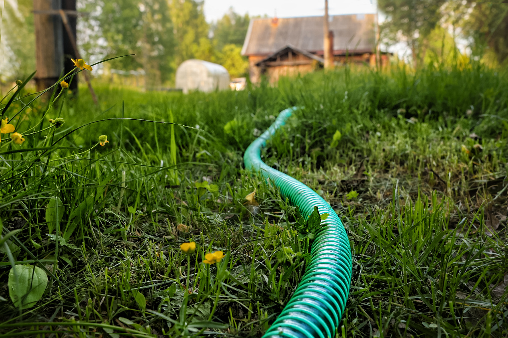 Прикинуться шлангом 