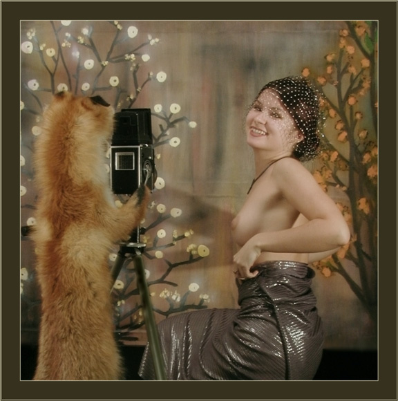 Хитрый фотограф 