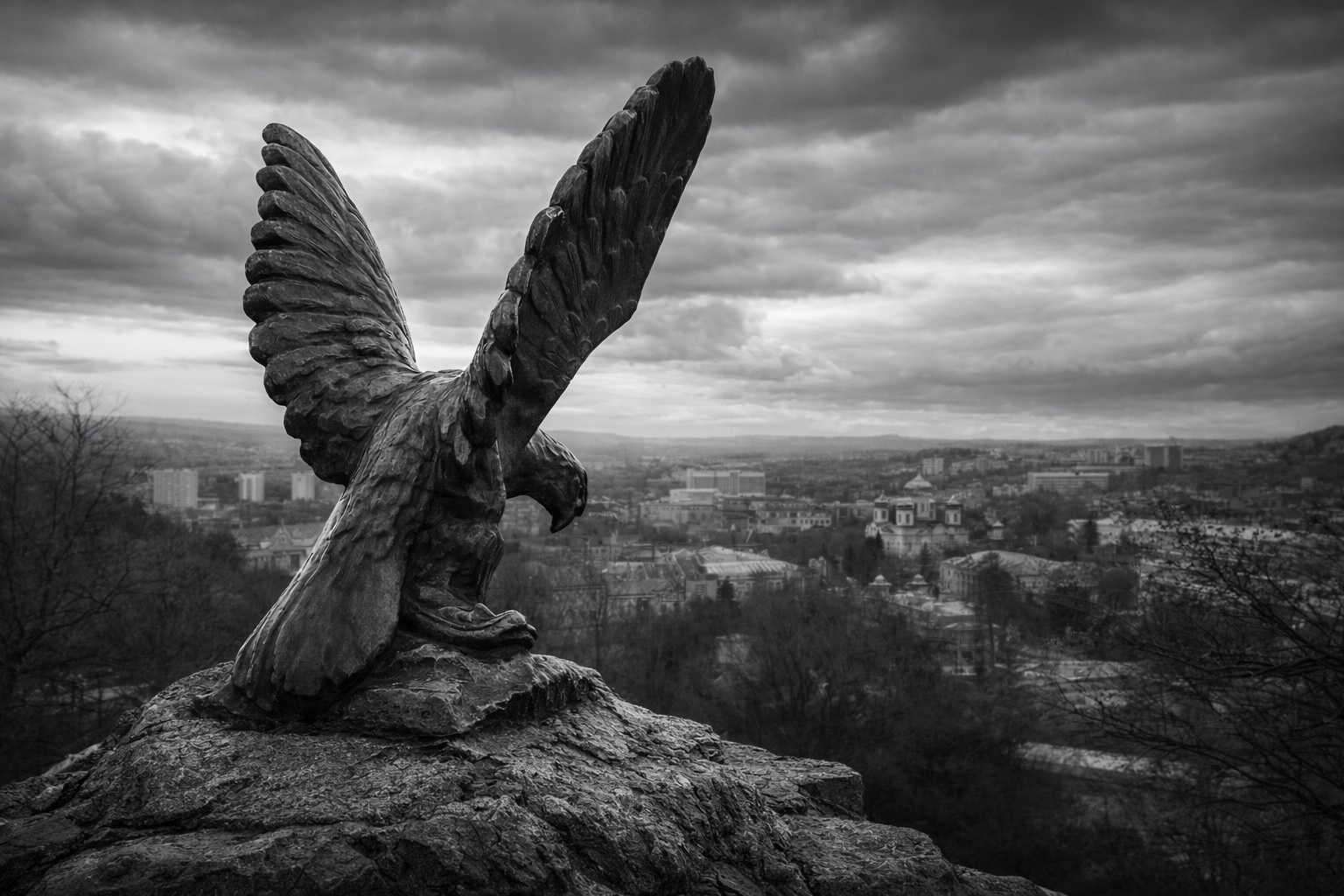 "Каменный дозор" орёл скульптура городской пейзаж чёрно-белая фотография монохром драматичное небо вид на город высота камень фактура горный