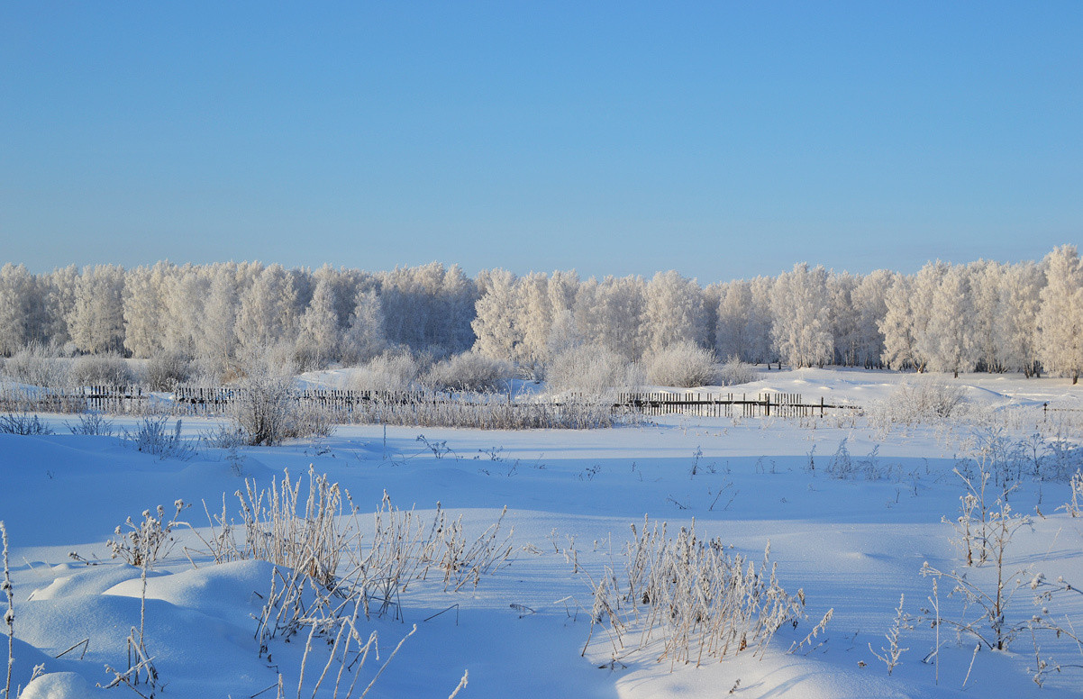 Морозное утро 