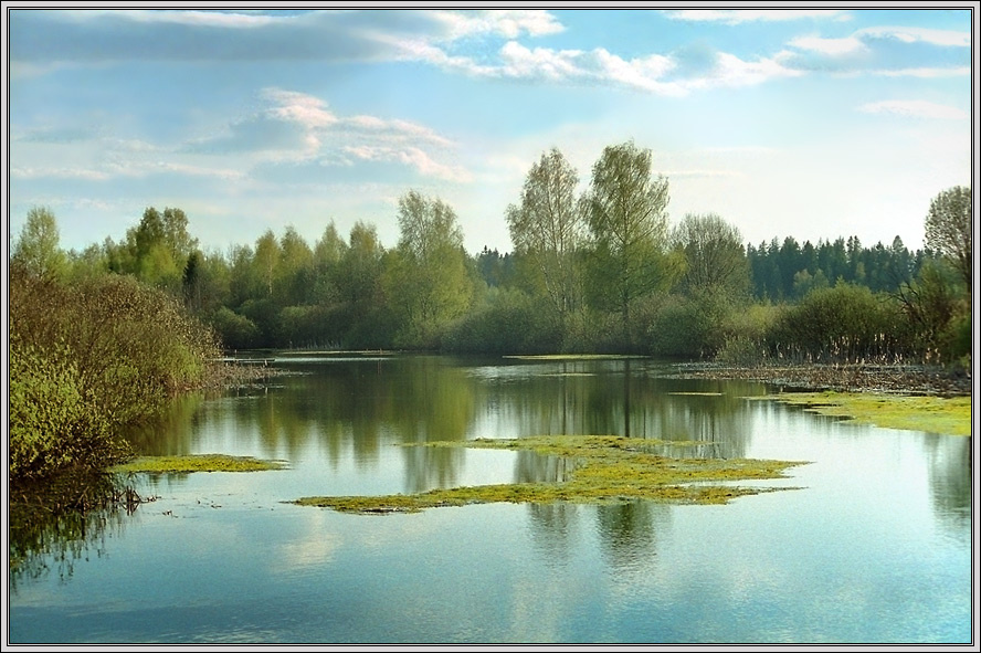 **Все стало вокруг голубым и зеленым...** зеленая вода, весна, май