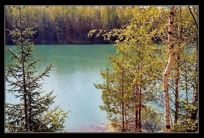 *** AnGr карьер берёза вода весна Эстония Лахемаа