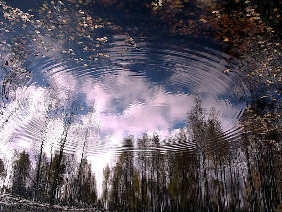 Круги на воде Отражение. осень. круги на воде.
