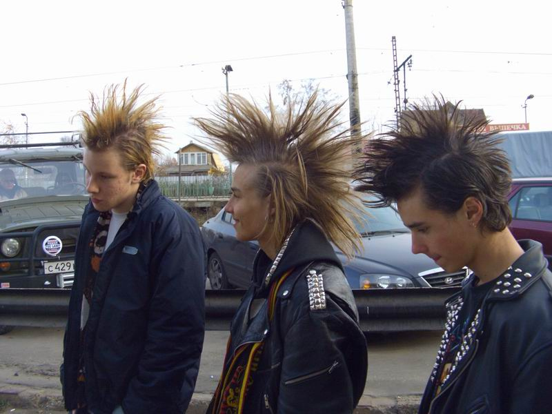 Punk\'s not dead Панк