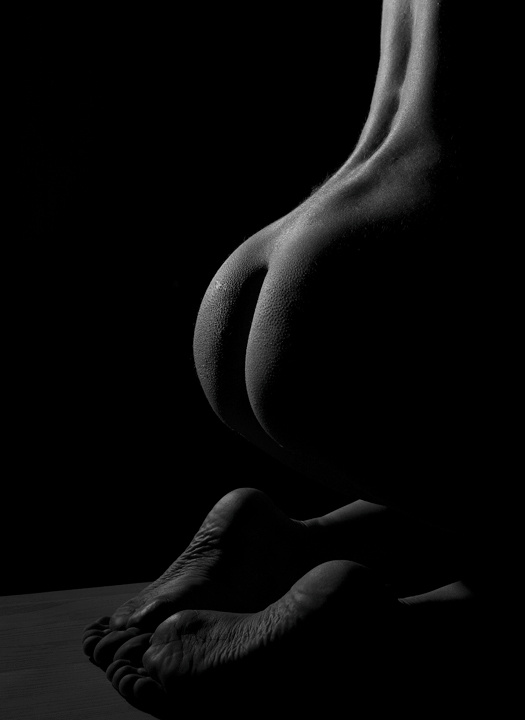Body lines 